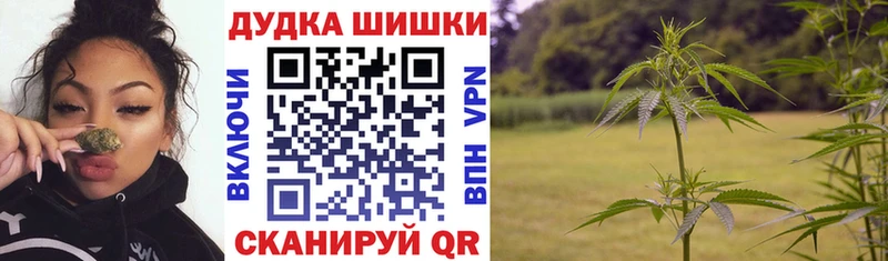 Виды наркотиков купить Торопец Cocaine  СК  Канабис  ГАШ 