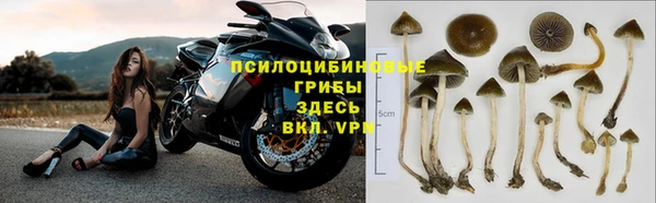 мяу мяу мука Абаза