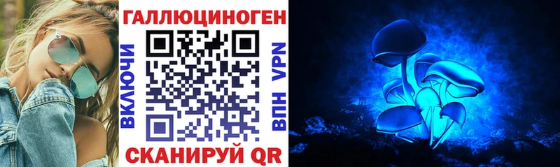 Галлюциногенные грибы прущие грибы  Торопец 